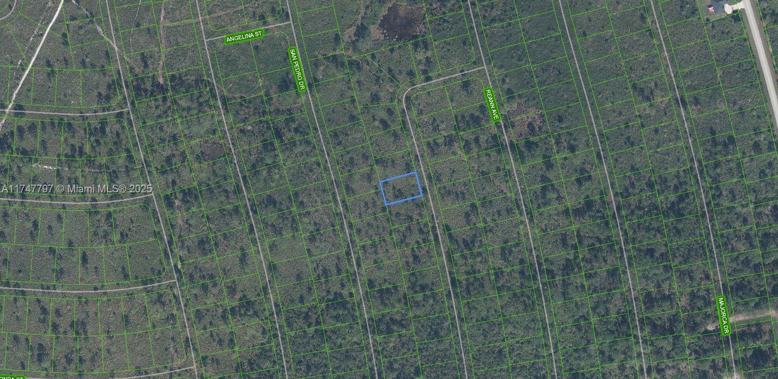 This is an aerial map showing a highlighted vacant lot in a wooded residential area — 4509 Rosaro Ave, Sebring FL 33872, SEBRING, FL