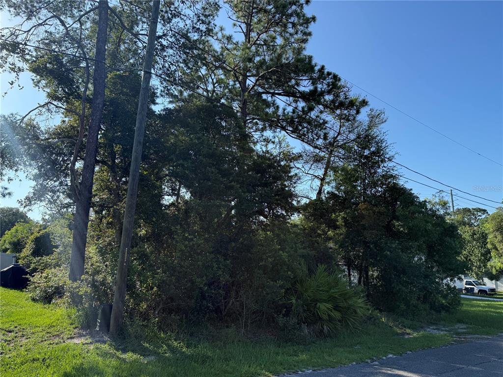 A wooded, undeveloped lot with tall pine trees sits beside a paved residential street — HICKORY AVENUE, ORANGE CITY, FL