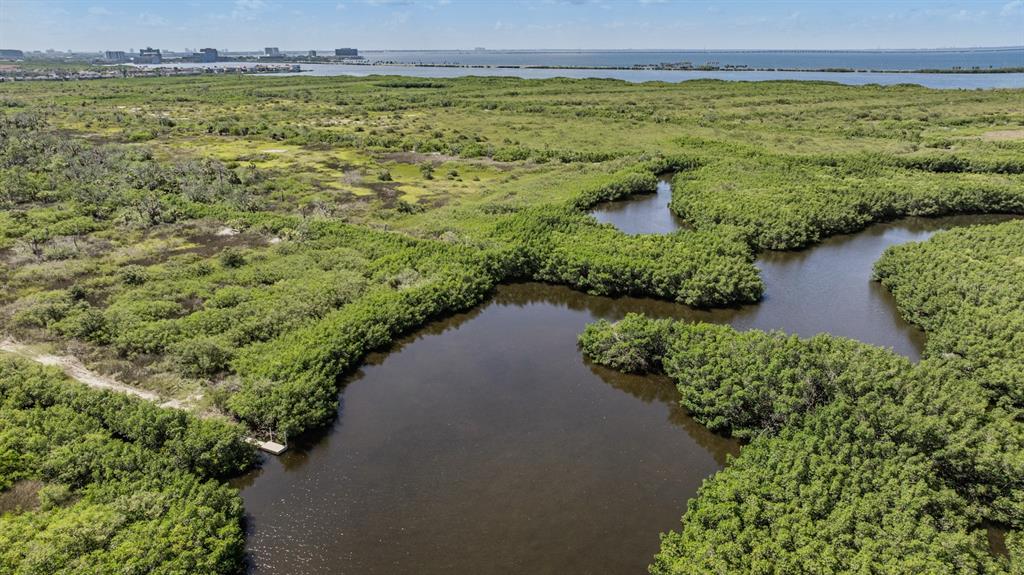 An aerial view shows a winding waterway surrounded by dense green mangroves and coastal vegetation — 4710 TROYDALE ROAD, TAMPA, FL