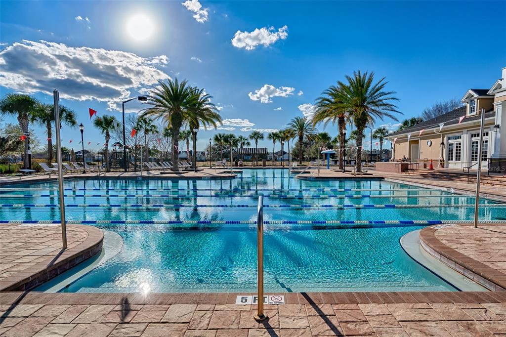 A sunny outdoor swimming pool with lap lanes, palm trees, and a clubhouse building — 12020 SW 30TH AVENUE, GAINESVILLE, FL