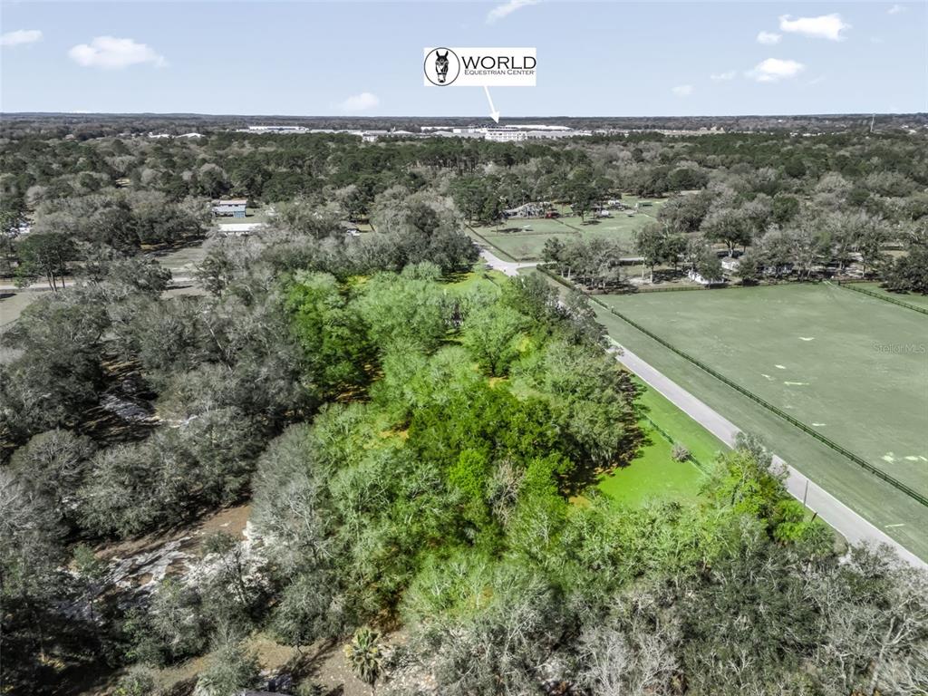 An aerial view shows a wooded lot adjacent to a road and open pasture — 7368 NW 14TH STREET, OCALA, FL