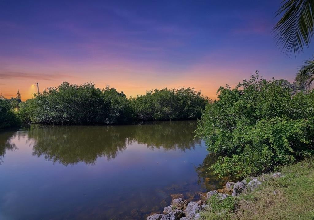 A view of a calm pond surrounded by lush green mangroves under a sunset sky — 6650 HIBISCUS AVENUE S, SOUTH PASADENA, FL