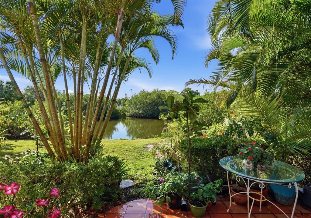 A patio with a glass table overlooks a small pond surrounded by lush tropical vegetation — 6650 HIBISCUS AVENUE S, SOUTH PASADENA, FL
