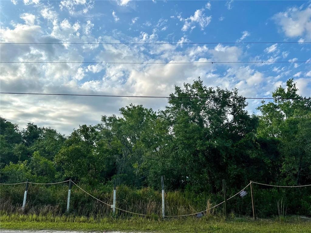 A fenced, wooded lot is shown under a blue sky with scattered clouds — 0 OCONEE BOULEVARD, NEW PORT RICHEY, FL