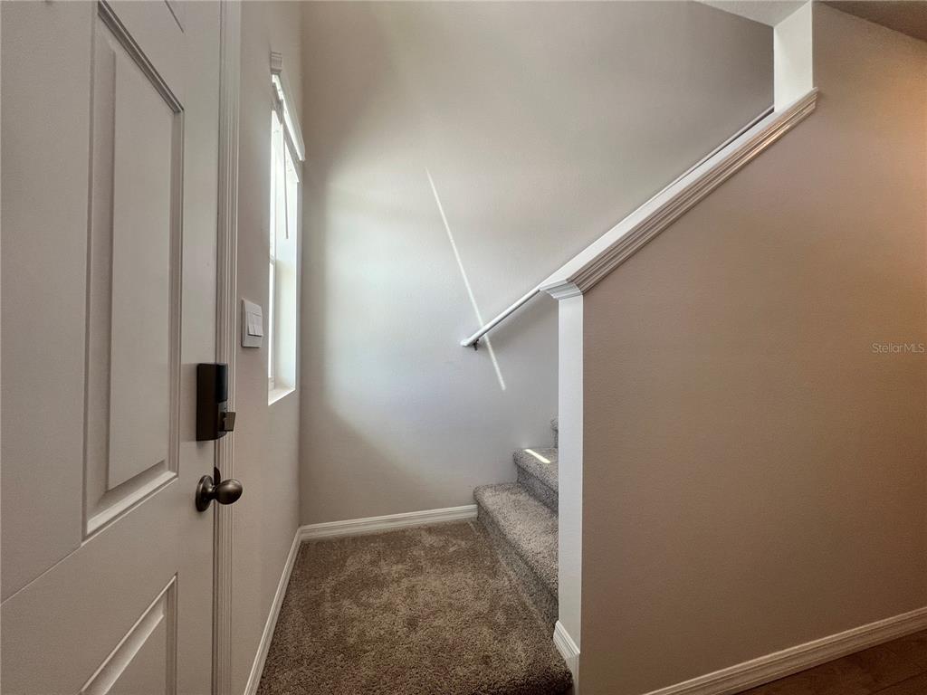A carpeted entryway features a white door, a window, and stairs leading upward — 2613 FETLOCK RUN, LAKEWOOD RANCH, FL