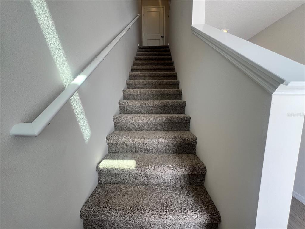 A straight staircase with gray carpet leads to a closed door at the top — 2613 FETLOCK RUN, LAKEWOOD RANCH, FL