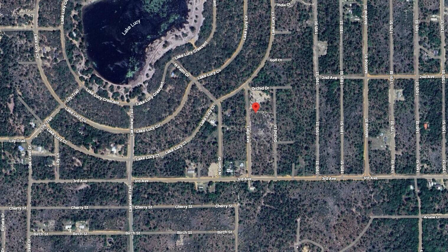 This is an aerial map view of a residential neighborhood near a lake — 116 Tulip Avenue, FL 32148, FL