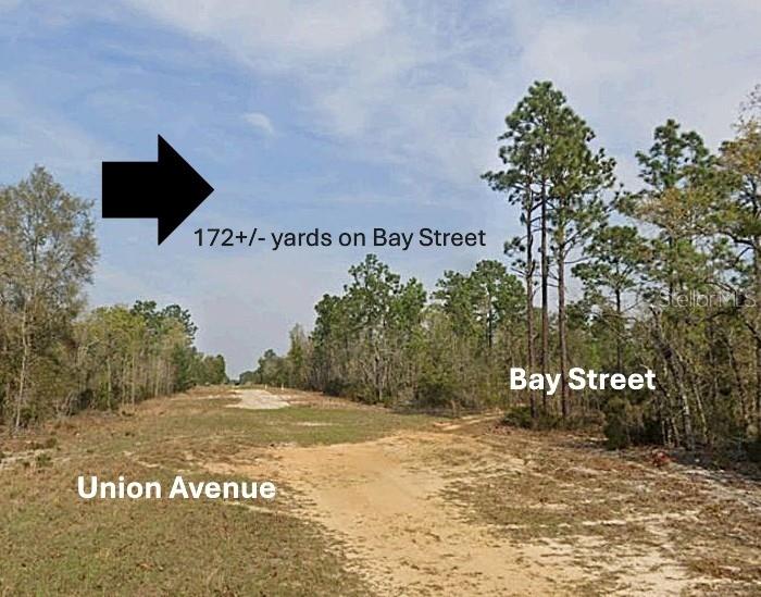 xx BAY STREET, INTERLACHEN, FL — photo 3 of 7