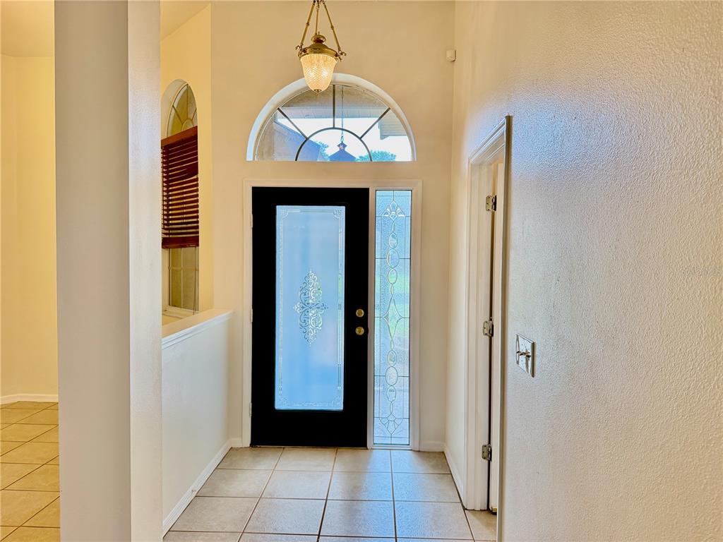 An entryway features a black front door with glass panels, tile flooring, and a chandelier — 1959 WOOD TRAIL STREET, TARPON SPRINGS, FL