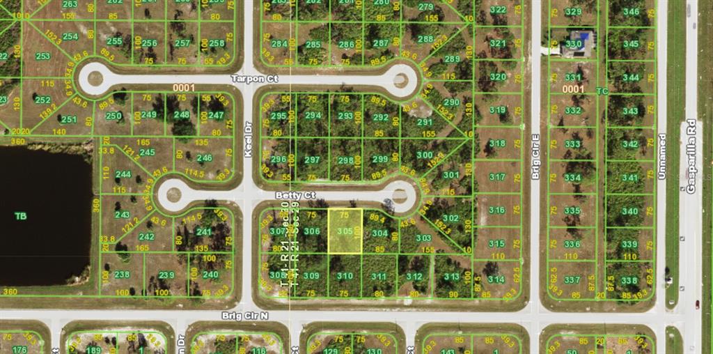 This is a plat map showing residential lots in a neighborhood with streets and cul-de-sacs — 11 BETTY COURT, PLACIDA, FL