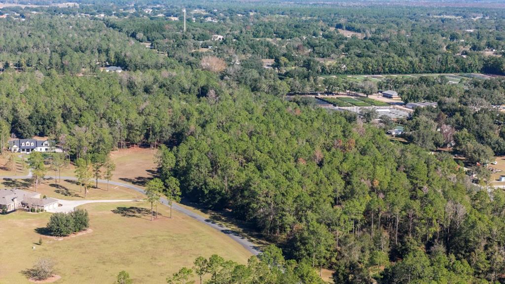 24250 DEEP SPRINGS LOOP, EUSTIS, FL — photo 5 of 10