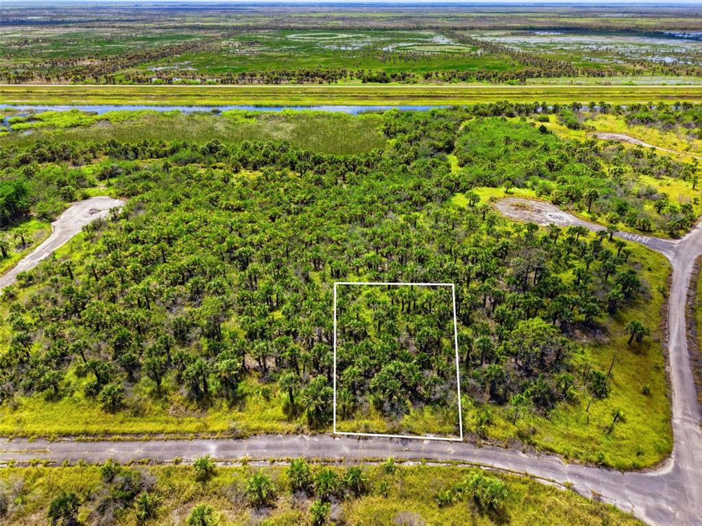 An aerial view shows a rectangular vacant lot outlined in white amidst a wooded area — 2806 FLAMEFLOWER TERRACE SW, PALM BAY, FL