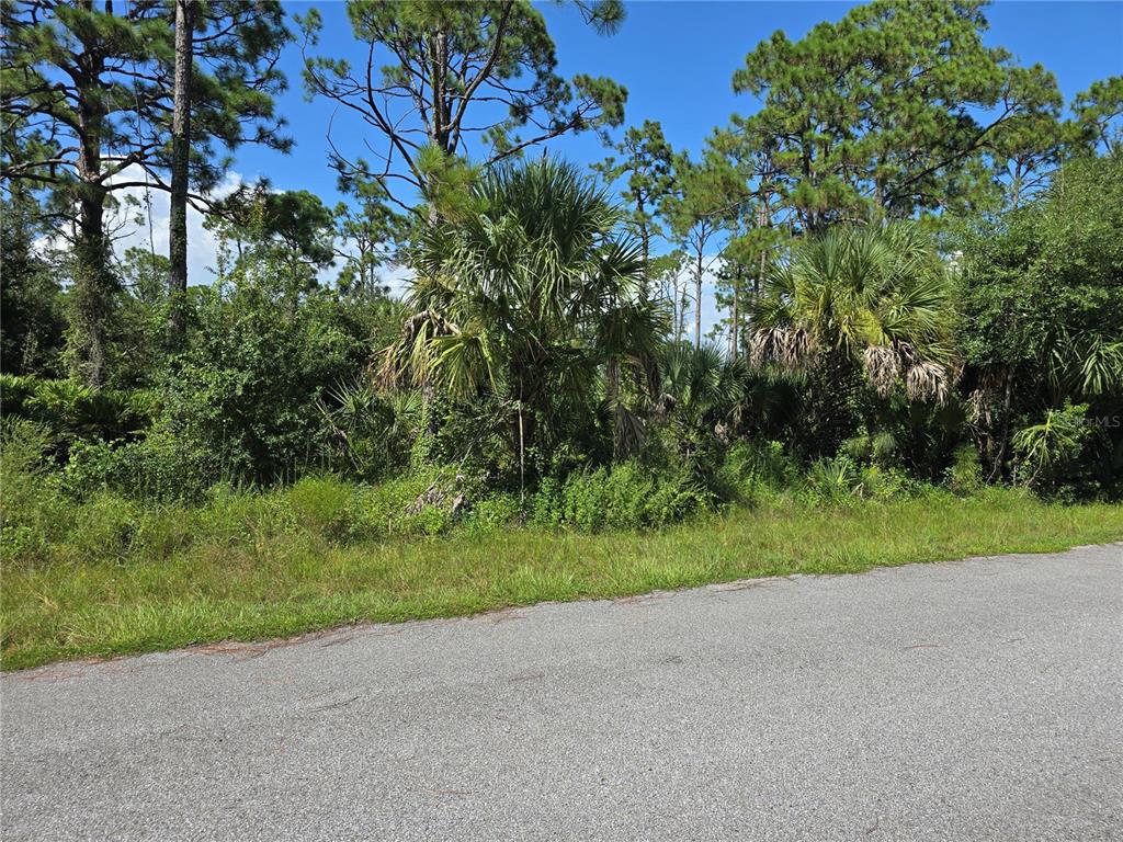 A paved road runs in front of a densely wooded, undeveloped residential lot — 14506 CAROUSEL LANE, PORT CHARLOTTE, FL