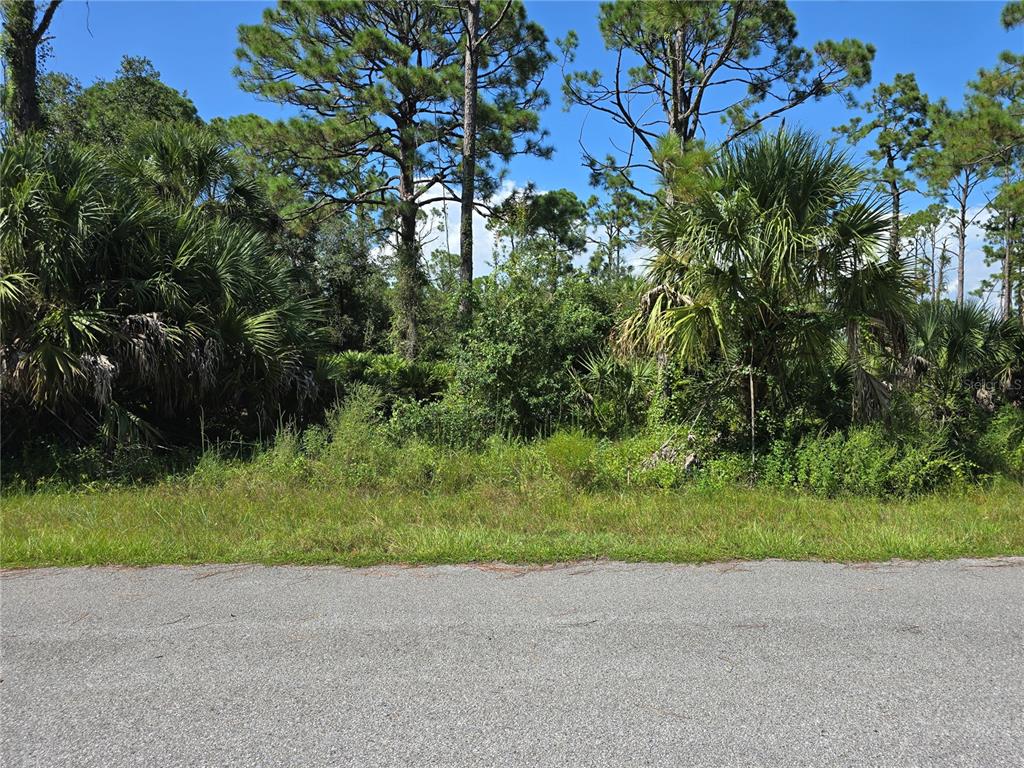 A view of a densely wooded, undeveloped residential lot from an adjacent paved road — 14506 CAROUSEL LANE, PORT CHARLOTTE, FL