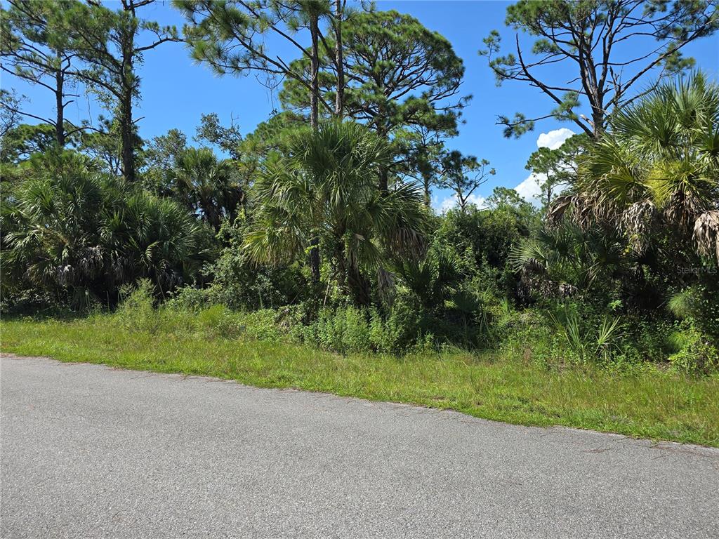 A paved road borders a dense, wooded lot filled with pine trees and palmettos — 14506 CAROUSEL LANE, PORT CHARLOTTE, FL