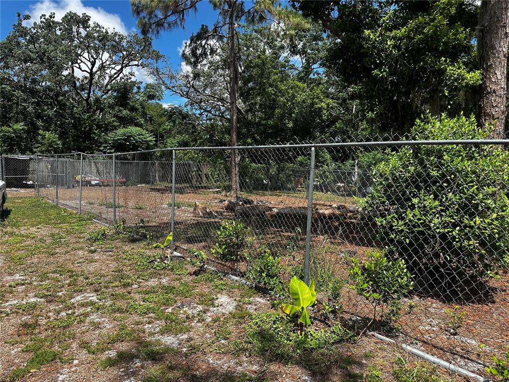 A chain-link fence encloses a sandy, partially wooded backyard area with scattered vegetation — SPARE DRIVE, NEW PORT RICHEY, FL