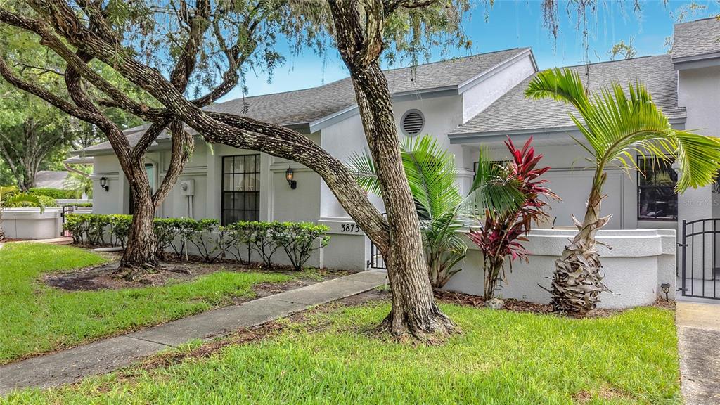 A white single-story house exterior features a concrete walkway, mature trees, and landscaped shrubs — 3873 PHEASANT COURT, PALM HARBOR, FL