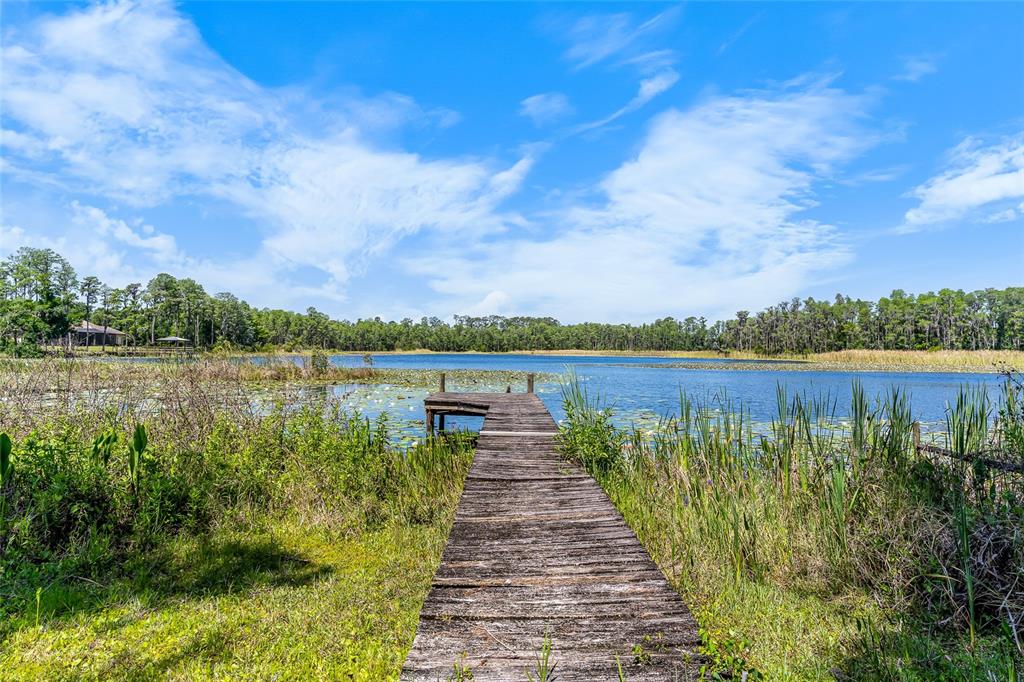 A wooden dock extends into a lake surrounded by grassy banks and trees — 1012 KINGSBOROUGH GARDENS COURT, LUTZ, FL