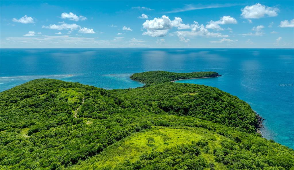 An aerial view of a lush, green coastal landscape overlooking the blue ocean — PR 998 Km 3.0 PLAYA SARDINAS, CULEBRA, PR