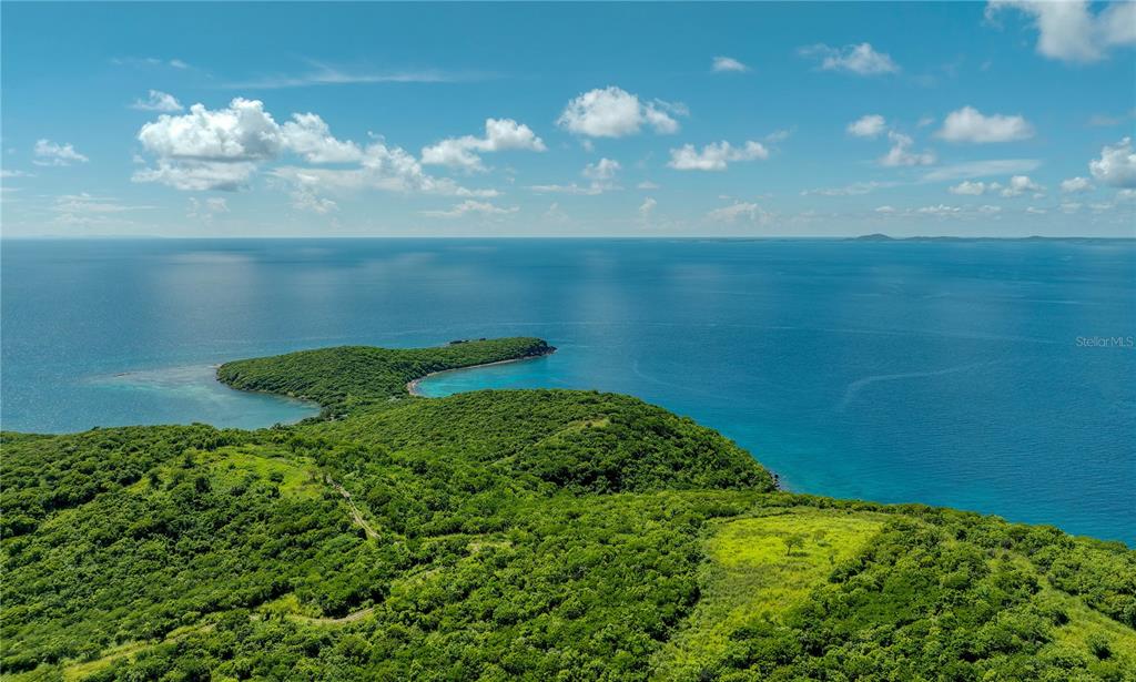 An aerial view shows a lush, green hillside sloping down toward a blue ocean bay — PR 998 Km 3.0 PLAYA SARDINAS, CULEBRA, PR