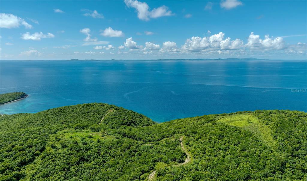 An aerial view shows a lush, green hillside sloping down toward a vast, blue ocean — PR 998 Km 3.0 PLAYA SARDINAS, CULEBRA, PR