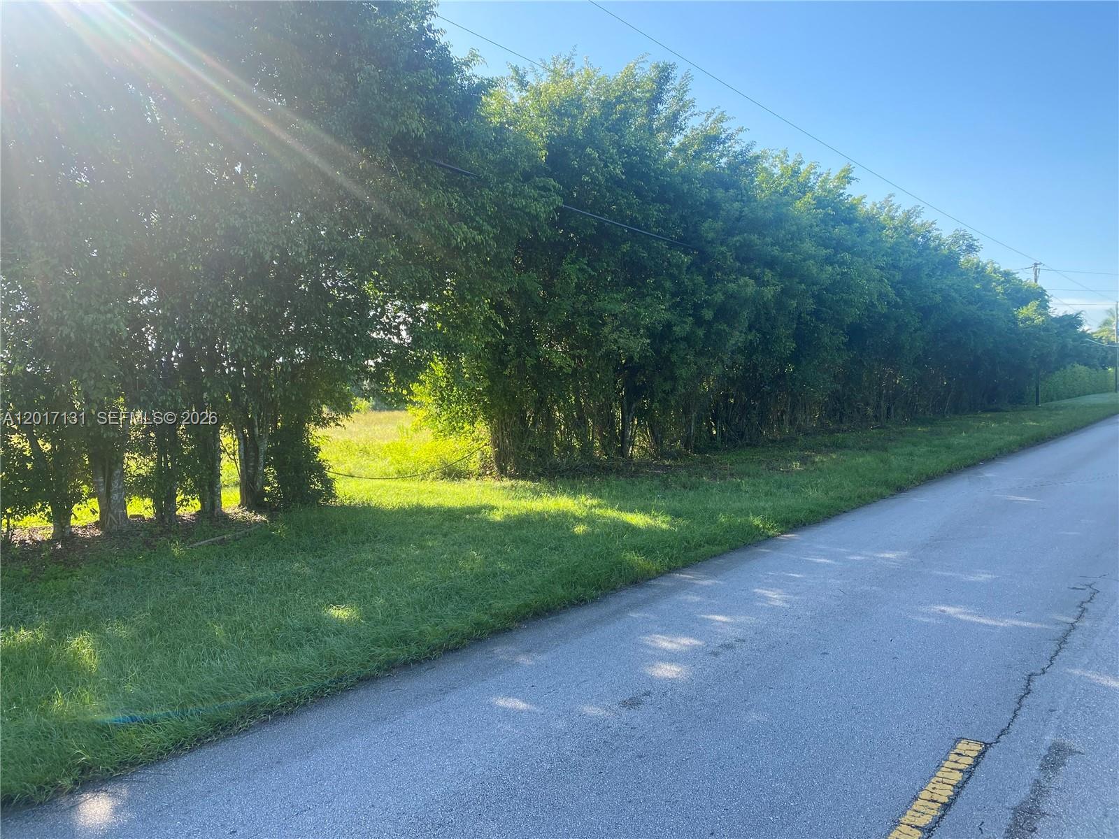 A paved road runs alongside a grassy lot bordered by a dense row of trees — sw 246 sw 187 Ave, Miami FL 33031, MIAMI, FL