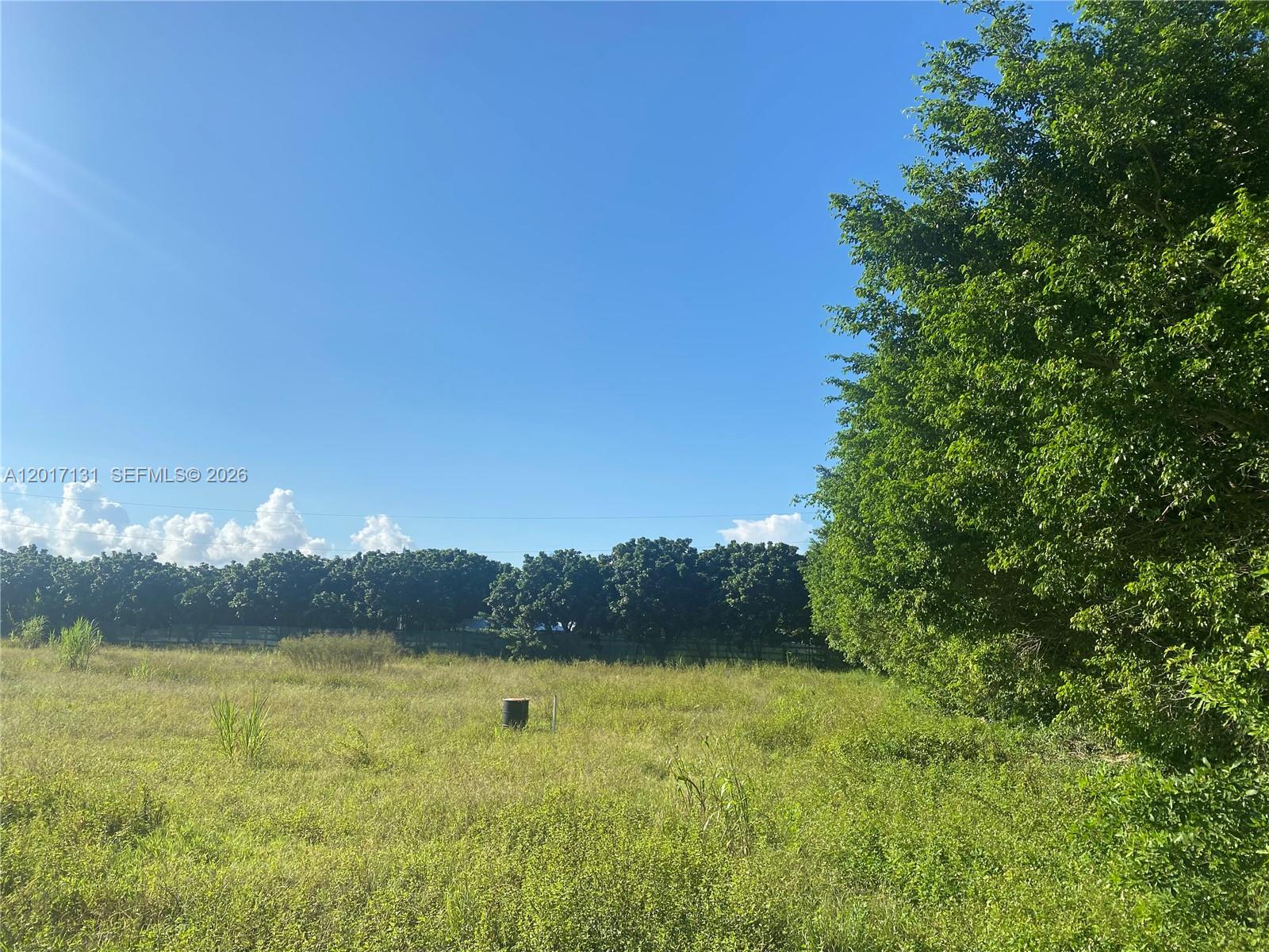 A large, grassy vacant lot is bordered by a dense line of trees under a sky — sw 246 sw 187 Ave, Miami FL 33031, MIAMI, FL