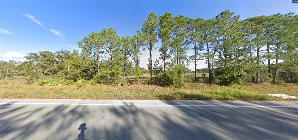 A view of a grassy, tree-lined vacant lot from the edge of a paved road — POLK CITY RD, POLK CITY, FL