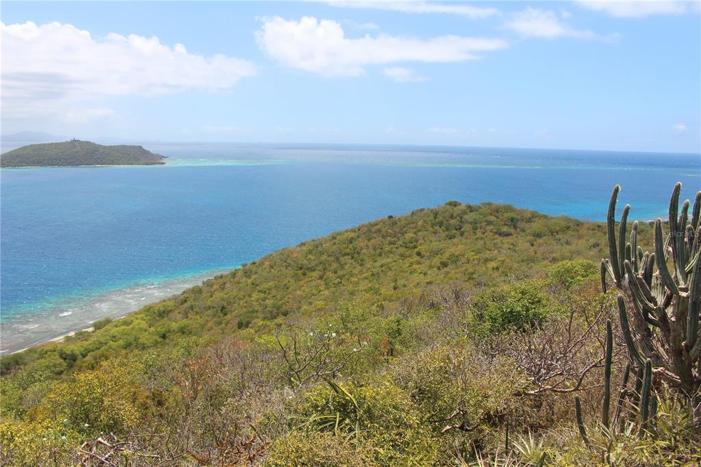 A view of a grassy hillside overlooking the ocean with a small island in distance — 250 Zoni PLAYA LARGA, CULEBRA, PR