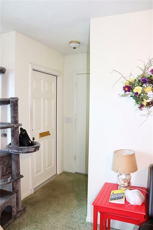 An entryway features a white door, a cat tree, and a small red side table — 6990 VERSAILLES N UNIT 6990, PINELLAS PARK, FL