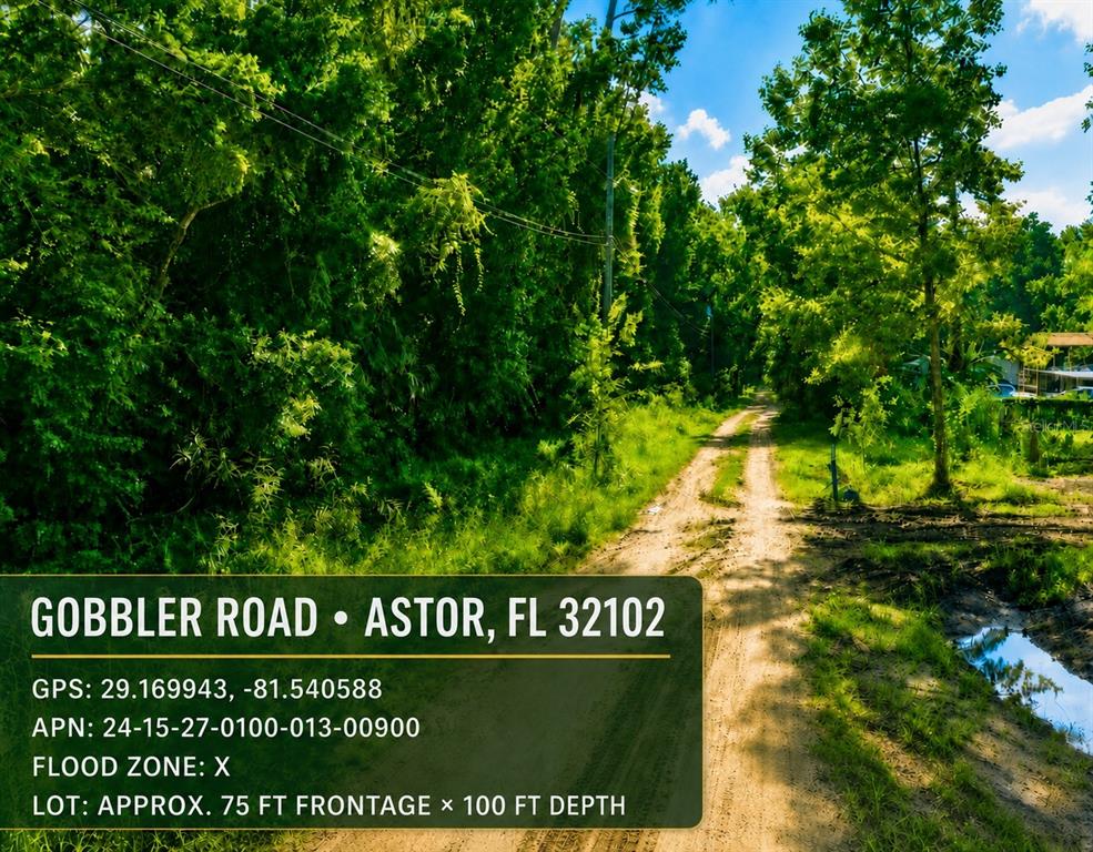 GOBBLER ROAD