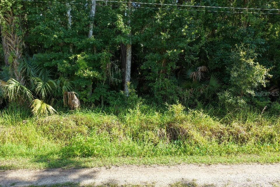 GOBBLER ROAD, ASTOR, FL — photo 2 of 30