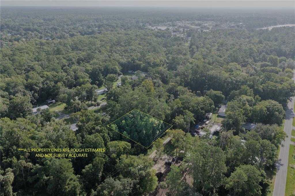 GOBBLER ROAD, ASTOR, FL — photo 5 of 30