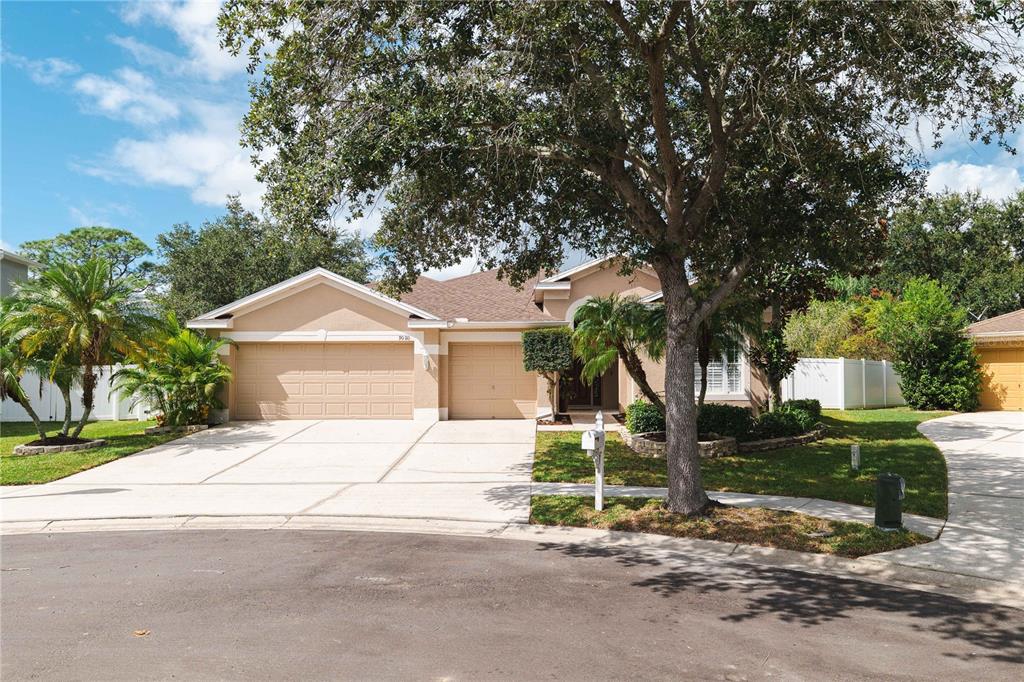 A tan single-story house with a two-car garage and a large tree in the yard — 9020 N RIVER ROAD, TAMPA, FL