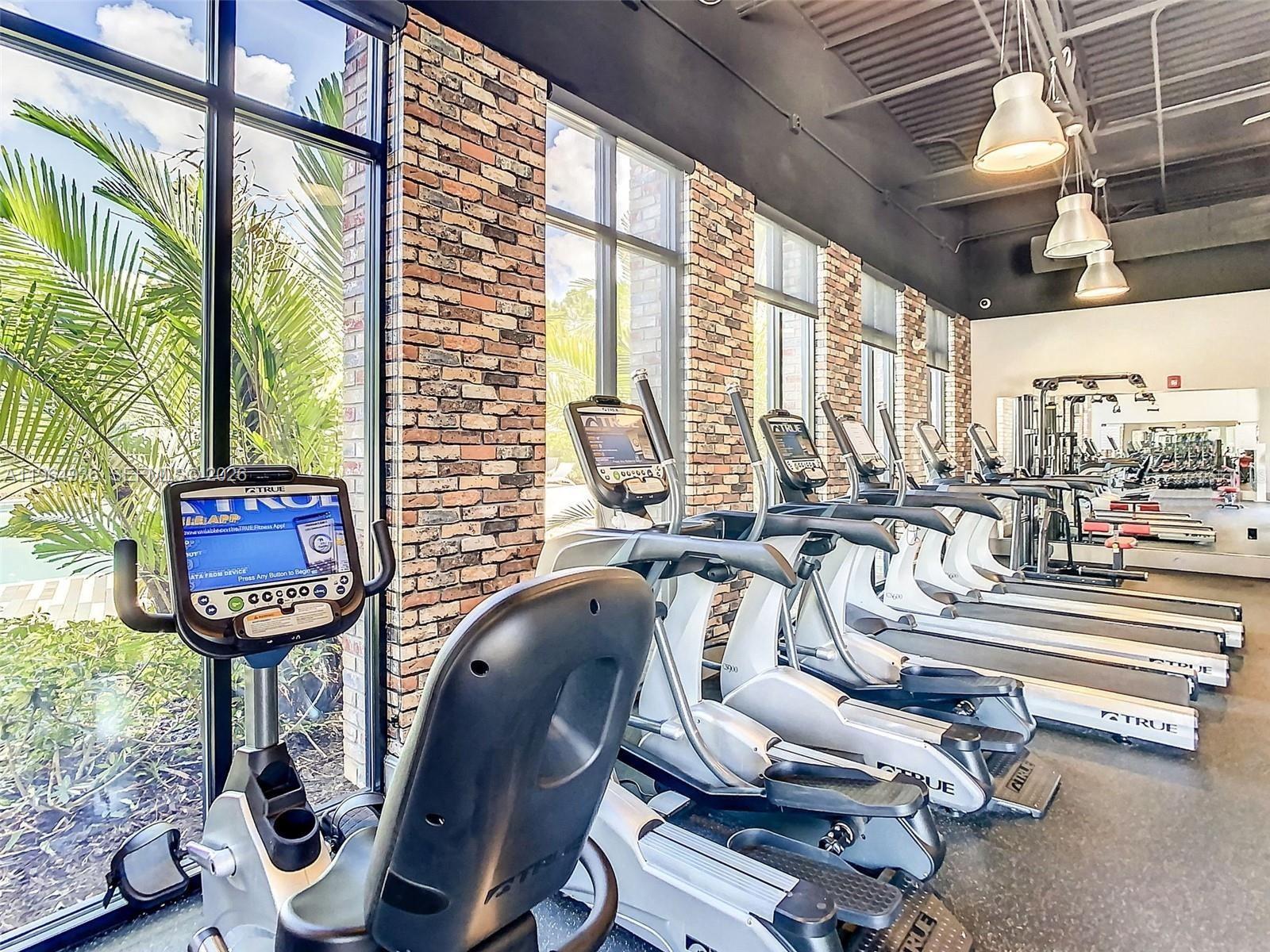 A gym features rows of exercise equipment, brick walls, and large windows overlooking palm trees — 742 Langboat Dr, Davenport FL 33896, DAVENPORT, FL