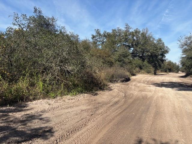 A dirt road winds through a wooded area with dense trees and shrubs — 0 County Rd 54, FL 33849, FL