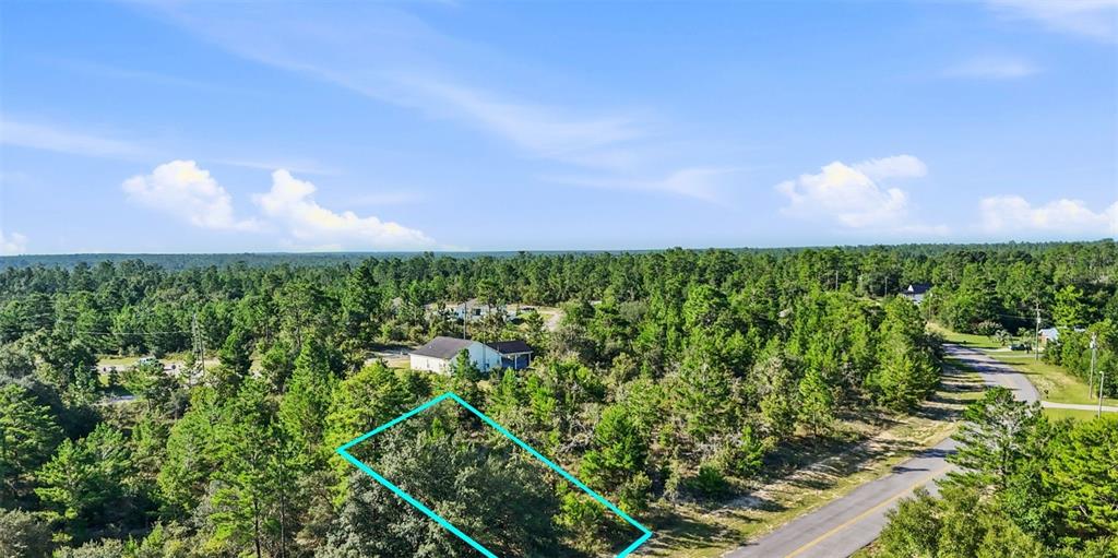 Lot 33 CONCORD BOULEVARD, CHIPLEY, FL — photo 2 of 18