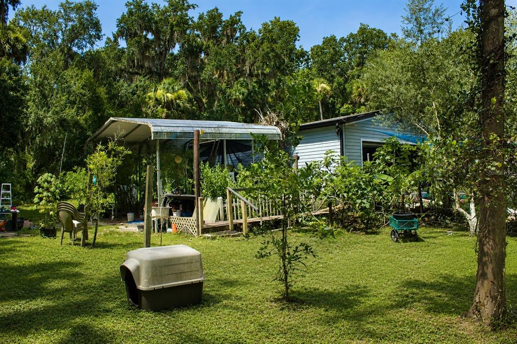 A backyard features a small house with a metal carport, a dog house, and lush landscaping — 335 STACY GROVE RD , ROAD, OAK HILL, FL