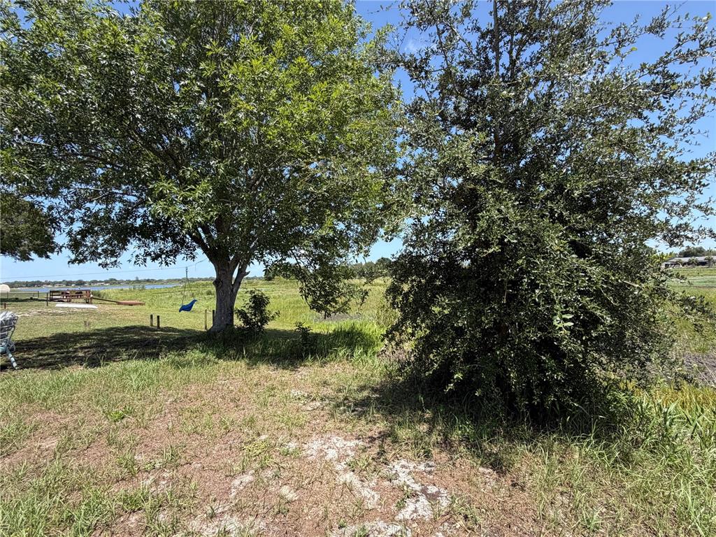 Two large trees stand in a grassy yard overlooking a distant lake — 5540 BAFFIN CIRCLE, SPRING HILL, FL