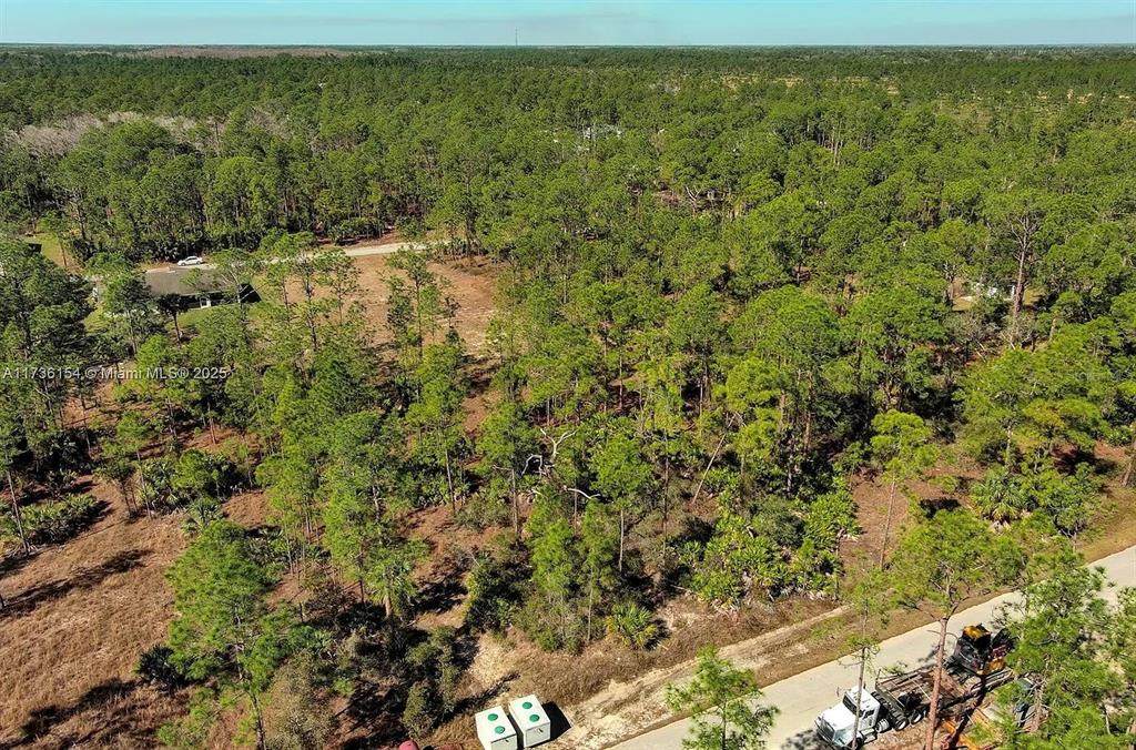 2309 GRANT AVENUE, ALVA, FL — photo 5 of 14