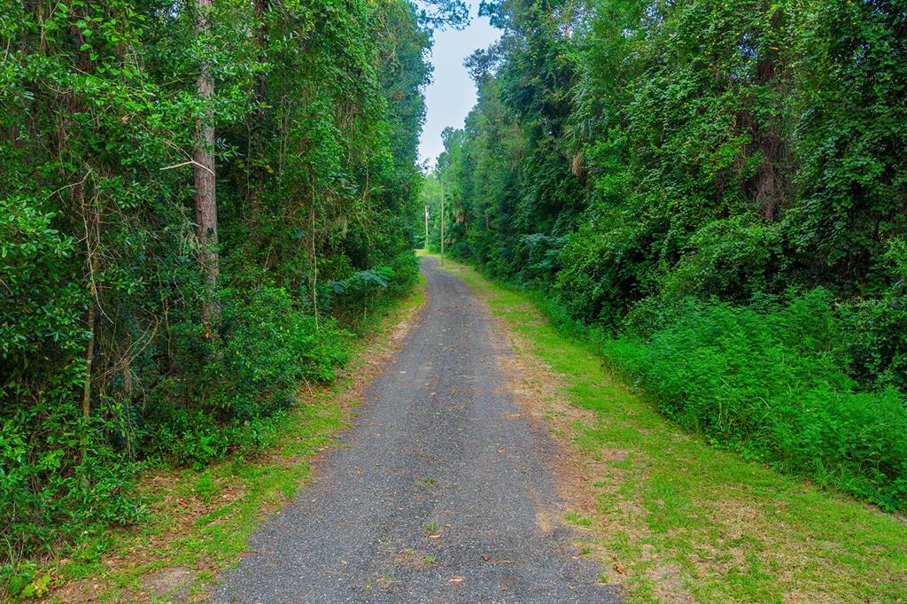 350 SE BALD EAGLE LOOP, LAKE CITY, FL — photo 2 of 30