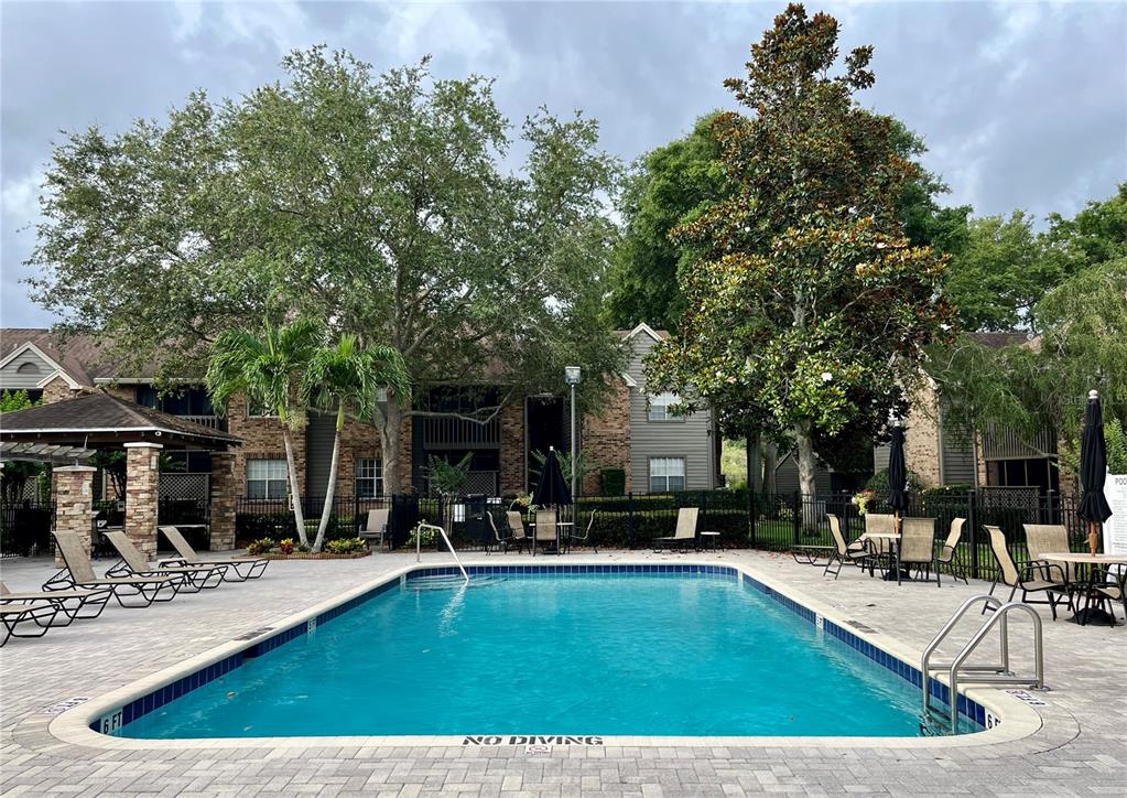 A rectangular swimming pool is surrounded by lounge chairs and trees in front of apartments — 2500 WINDING CREEK BOULEVARD UNIT C205, CLEARWATER, FL