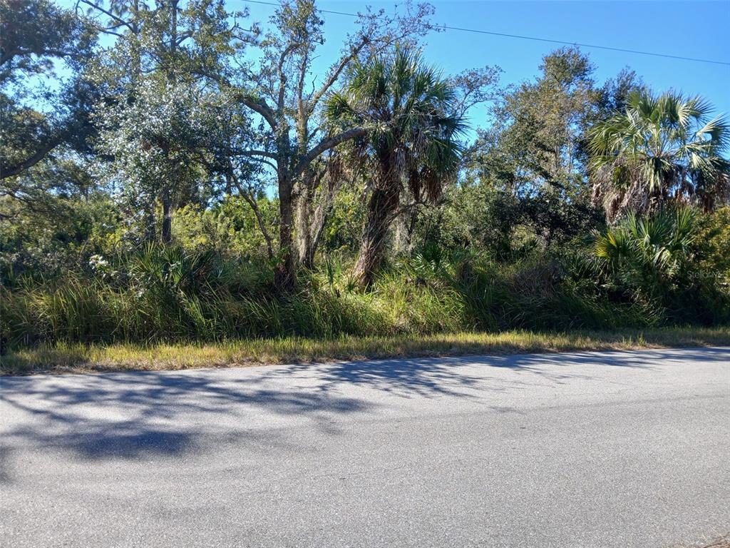 A view of a wooded, undeveloped lot with trees and palms bordering a paved road — 13493 MARKHAM AVENUE, PORT CHARLOTTE, FL