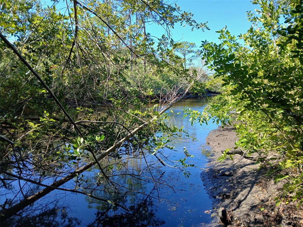 A narrow tidal creek flows through a dense mangrove forest with muddy banks — 13493 MARKHAM AVENUE, PORT CHARLOTTE, FL