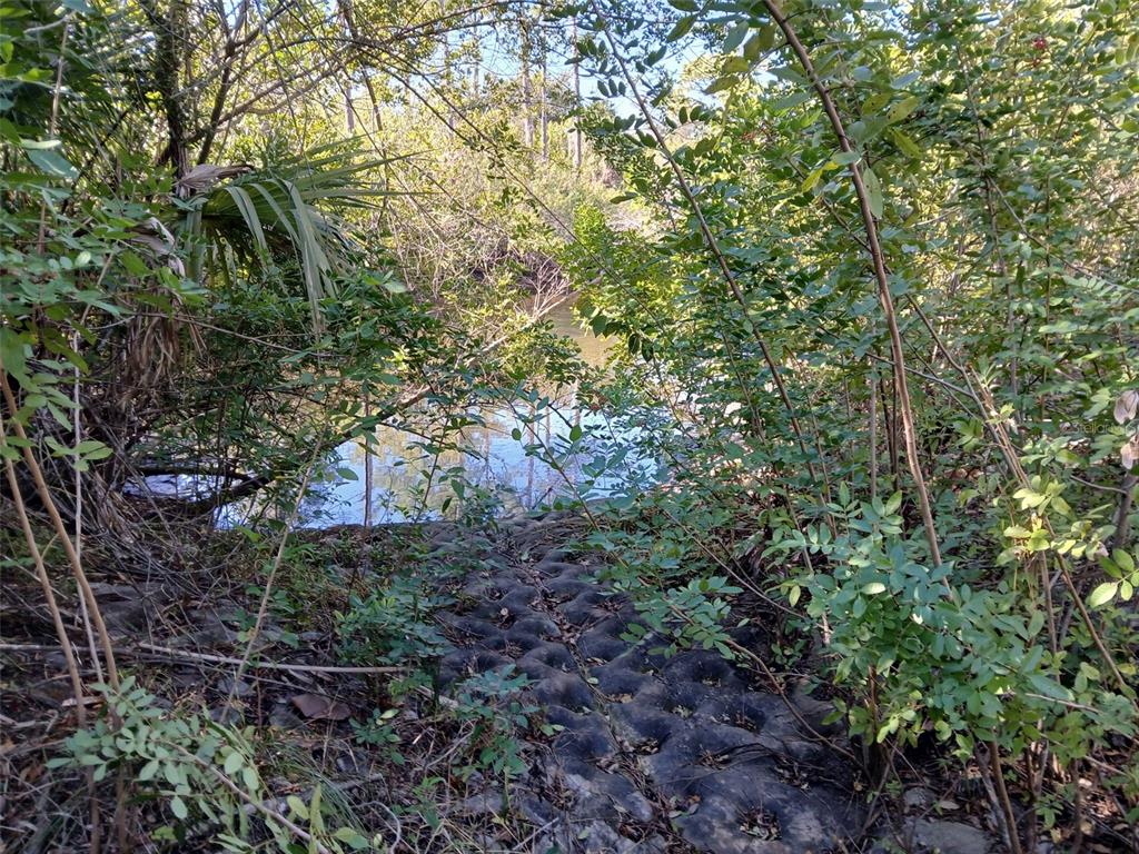 A view of a small pond surrounded by dense trees and a concrete embankment — 13493 MARKHAM AVENUE, PORT CHARLOTTE, FL
