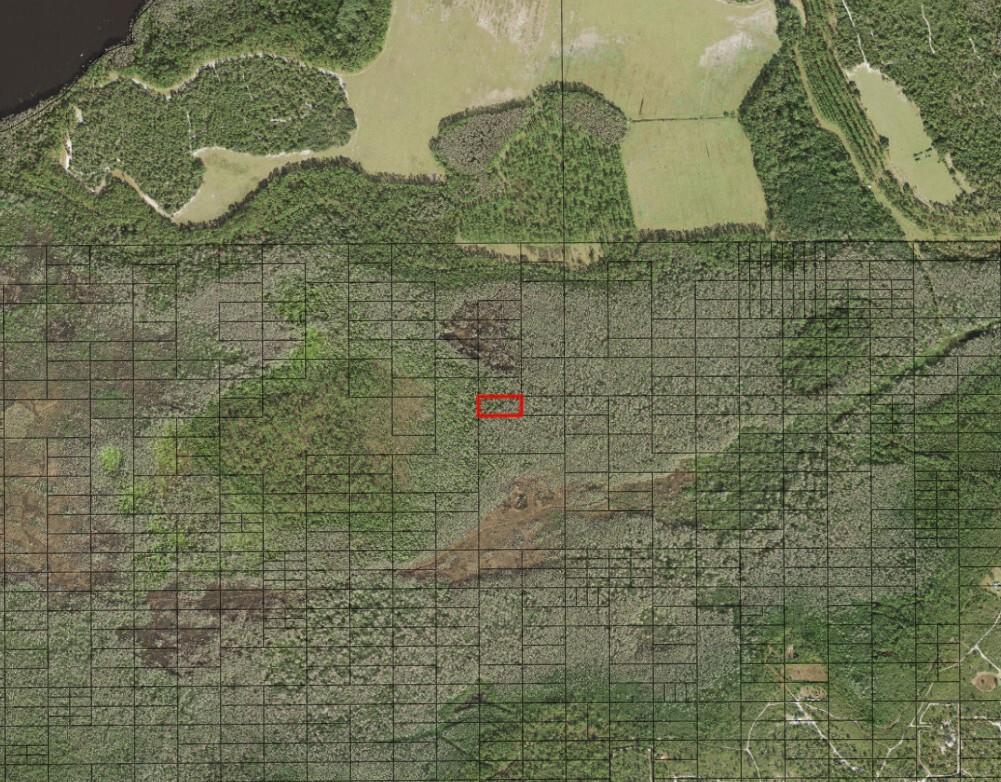 An aerial map shows a rectangular property parcel outlined in red over a forested area — 0 Holopaw Groves Road, FL 34772, FL