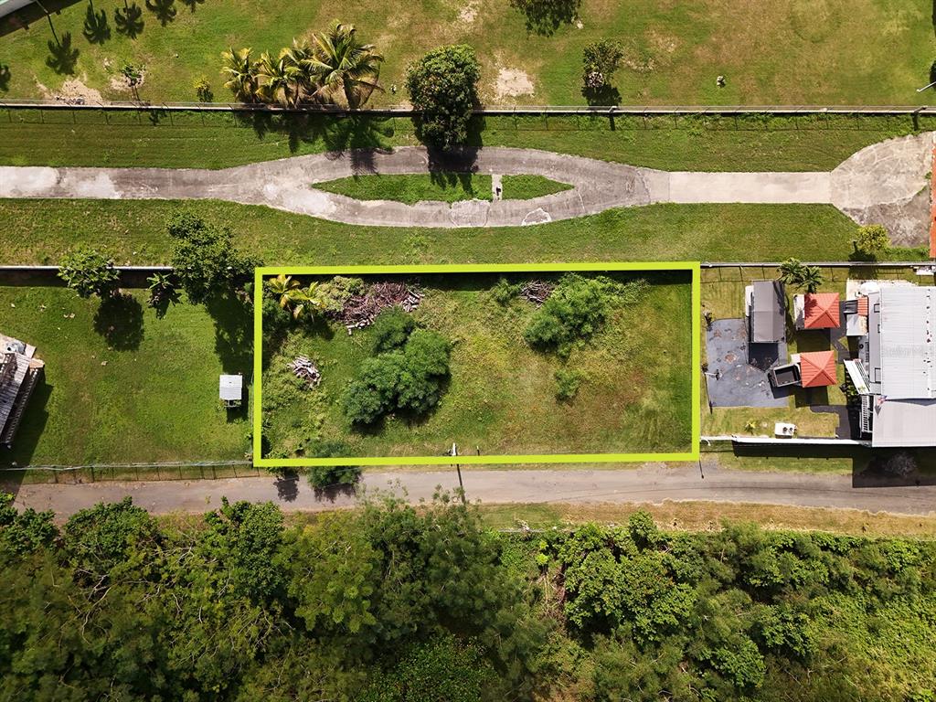 An aerial view shows a rectangular vacant lot outlined in green between two properties — CARRETERA 401, BO. PLAYA, ANASCO, PR