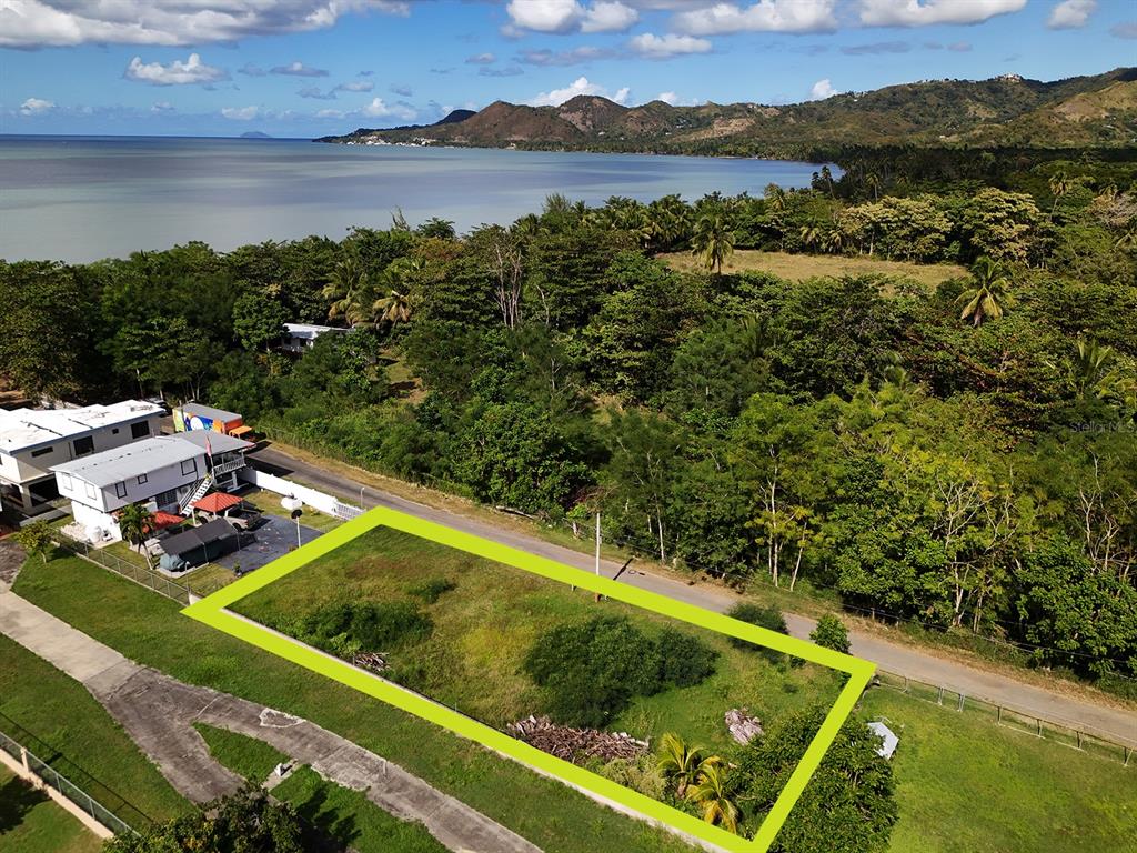 An aerial view shows a vacant, rectangular lot outlined in green next to a coastal road — CARRETERA 401, BO. PLAYA, ANASCO, PR