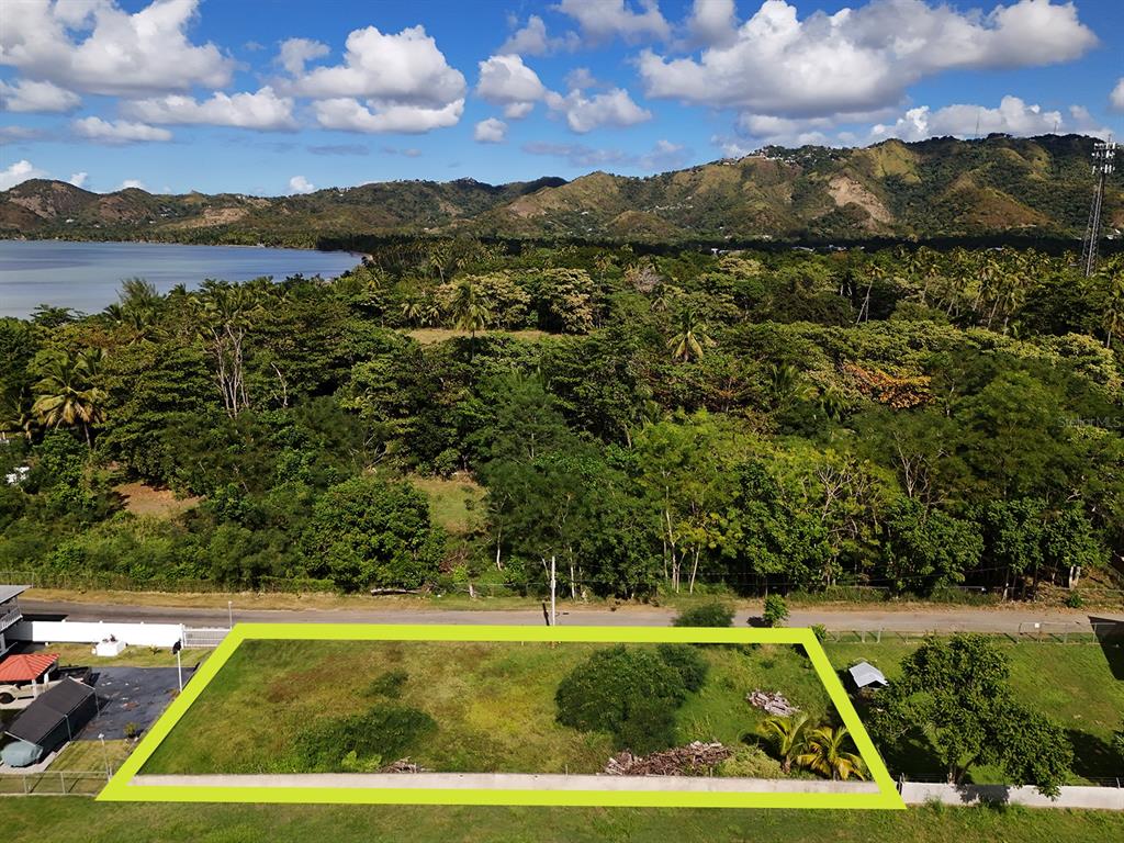 An aerial view shows a rectangular vacant lot outlined in yellow near a coastal forest — CARRETERA 401, BO. PLAYA, ANASCO, PR