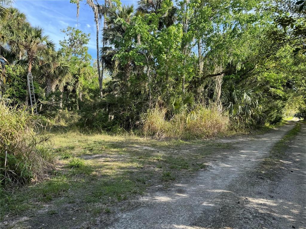 ORANGE ST/SEC 1, OVIEDO, FL — photo 2 of 4